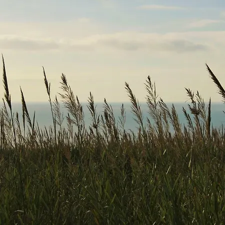 Laurel House Дом отдыха Лориньян