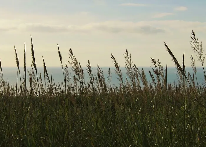 Laurel House Сasa de vacaciones Lourinhã